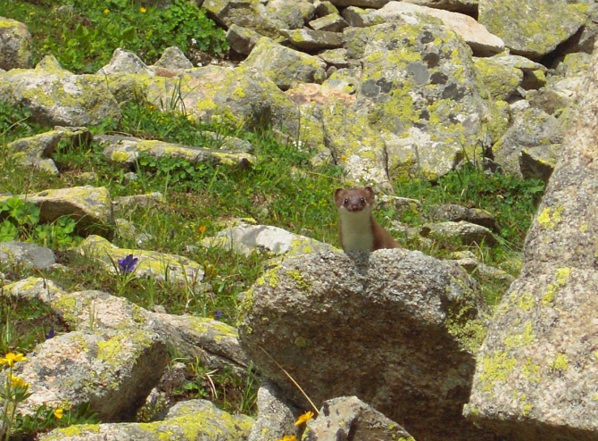 Поход из Ахсау в В.Балкарию. Творческий отчёт. (Горный туризм)