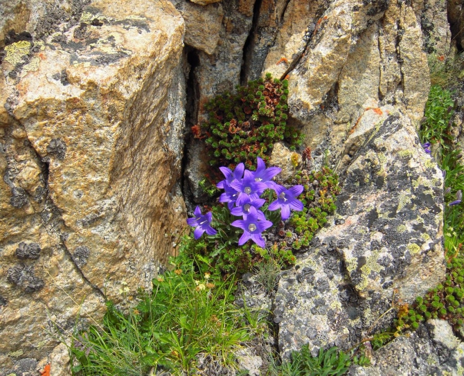 Поход из Ахсау в В.Балкарию. Творческий отчёт. (Горный туризм)