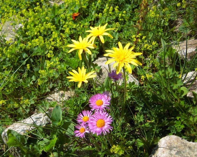 Поход из Ахсау в В.Балкарию. Творческий отчёт. (Горный туризм)