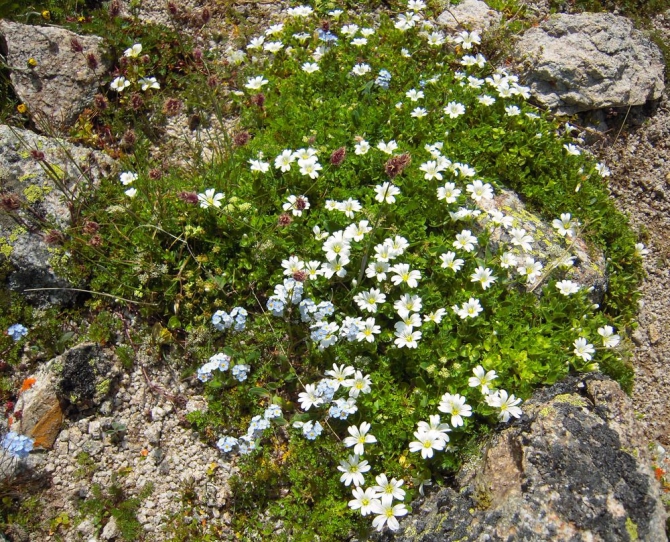 Поход из Ахсау в В.Балкарию. Творческий отчёт. (Горный туризм)