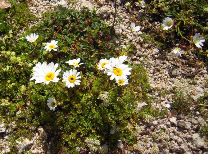 Поход из Ахсау в В.Балкарию. Творческий отчёт. (Горный туризм)
