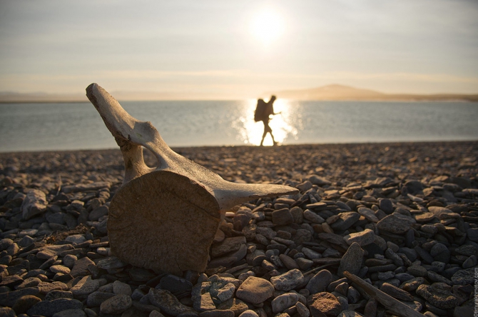 Поход в Уэлен и на мыс Дежнёва (Путешествия)