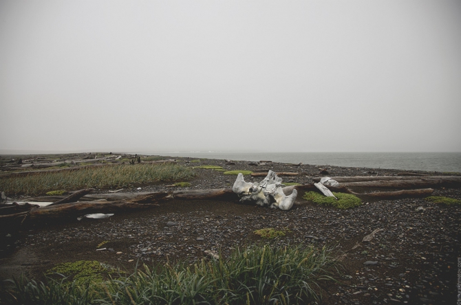 Поход в Уэлен и на мыс Дежнёва (Путешествия)