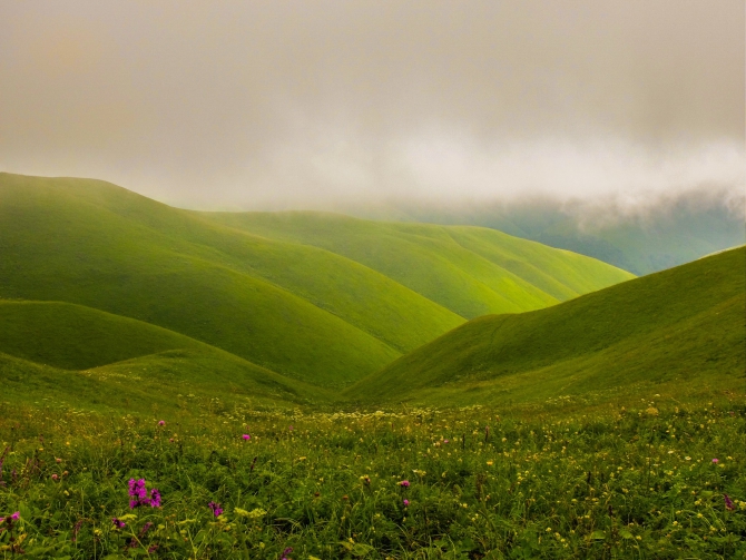 Любимая Чечня и на этот раз встретила хорошо (Туризм, фото)
