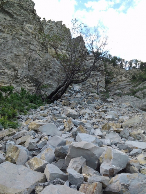 Как мы провели этим летом