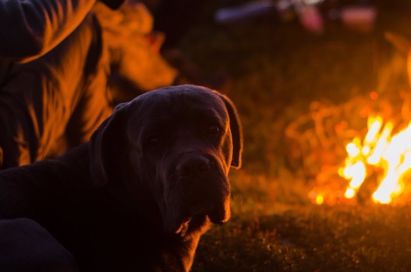 Большая гора маленького Сахалина (Горный туризм)