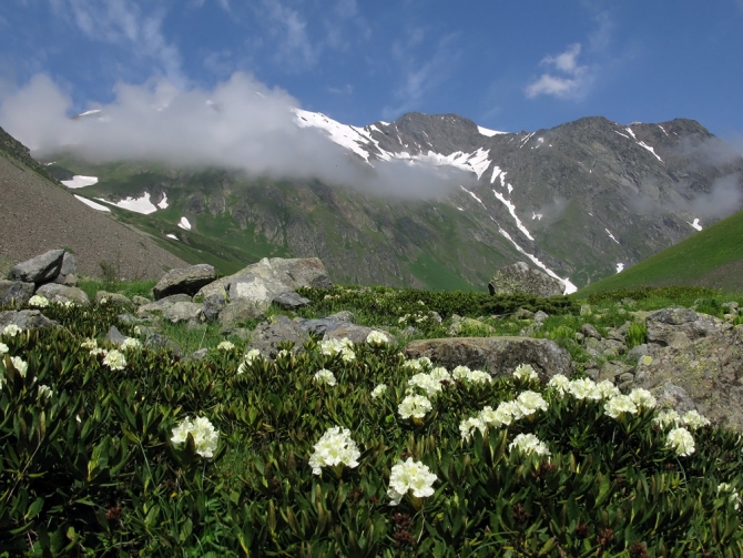 Горы Северной Осетии: фотоальбом и не только... (Горный туризм, кавказ, осетия)