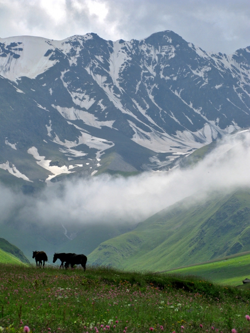 Горы Северной Осетии: фотоальбом и не только... (Горный туризм, кавказ, осетия)