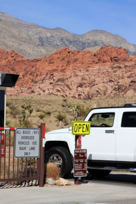 Страна вечной охоты...