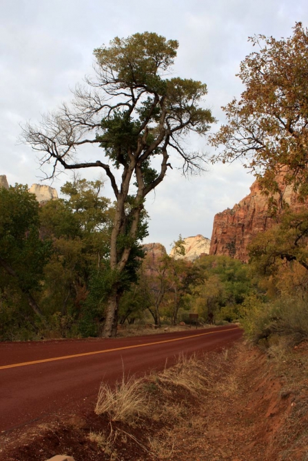 Страна вечной охоты...