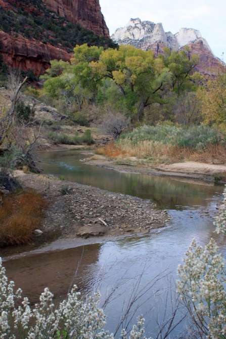 Страна вечной охоты...