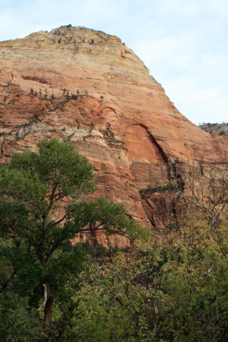 Страна вечной охоты...