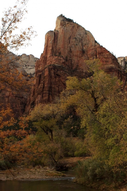 Страна вечной охоты...