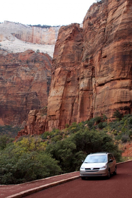 Страна вечной охоты...