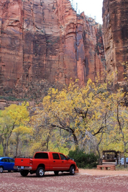 Страна вечной охоты...