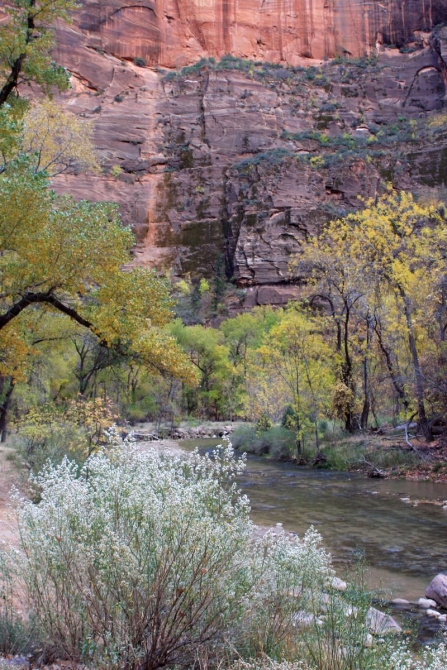 Страна вечной охоты...