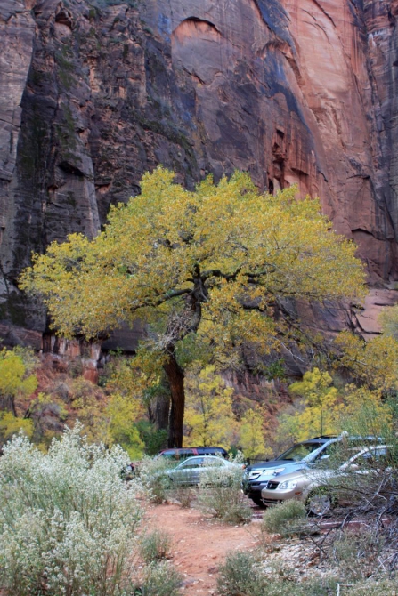 Страна вечной охоты...