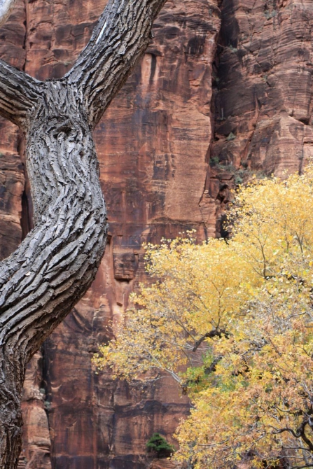 Страна вечной охоты...