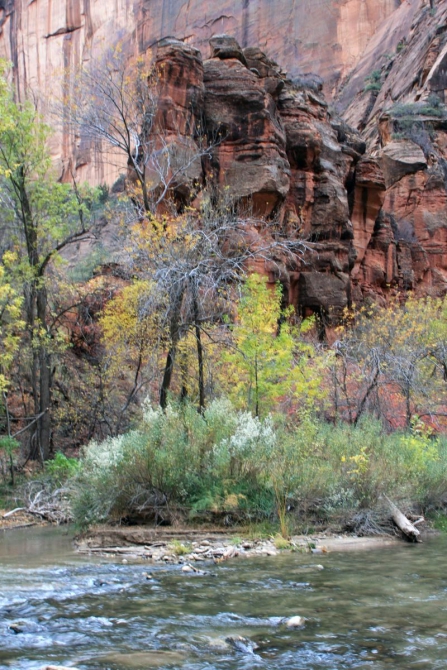 Страна вечной охоты...