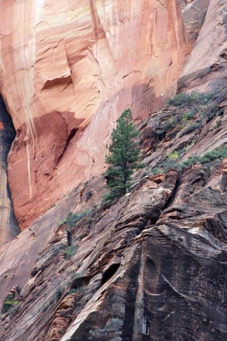 Страна вечной охоты...