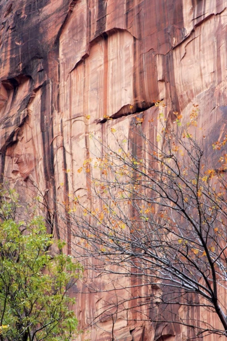 Страна вечной охоты...