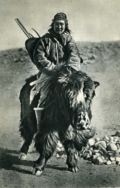 Тайна пещеры Мата-таш. В стихах, с подлинными фото и картой пещеры, где зарыты сокровища. (Путешествия, блещунов, ранг куль, памир)