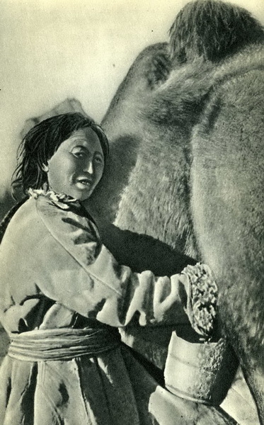 Тайна пещеры Мата-таш. В стихах, с подлинными фото и картой пещеры, где зарыты сокровища. (Путешествия, блещунов, ранг куль, памир)