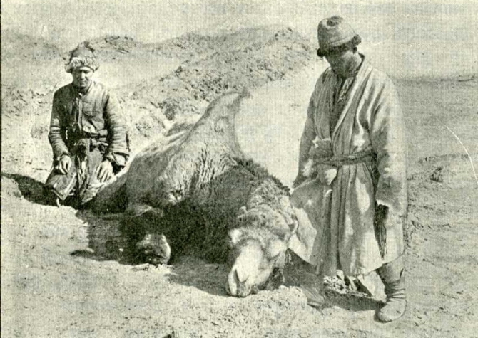 Тайна пещеры Мата-таш. В стихах, с подлинными фото и картой пещеры, где зарыты сокровища. (Путешествия, блещунов, ранг куль, памир)