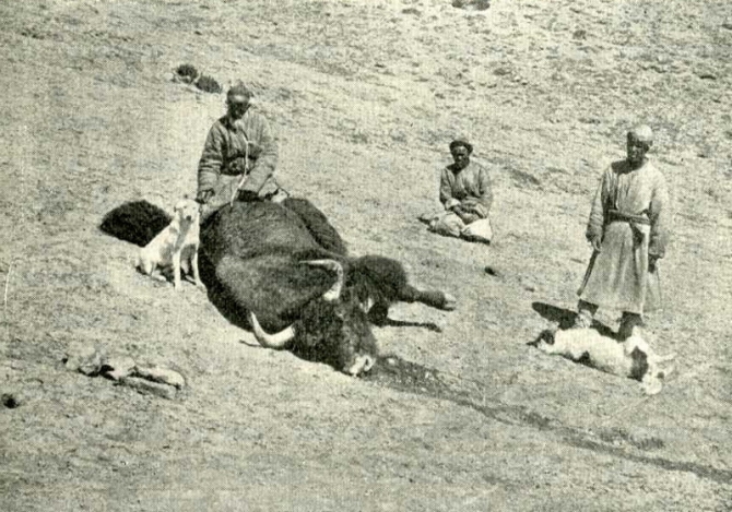 Тайна пещеры Мата-таш. В стихах, с подлинными фото и картой пещеры, где зарыты сокровища. (Путешествия, блещунов, ранг куль, памир)