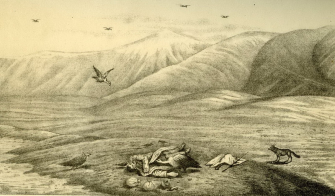 Тайна пещеры Мата-таш. В стихах, с подлинными фото и картой пещеры, где зарыты сокровища. (Путешествия, блещунов, ранг куль, памир)