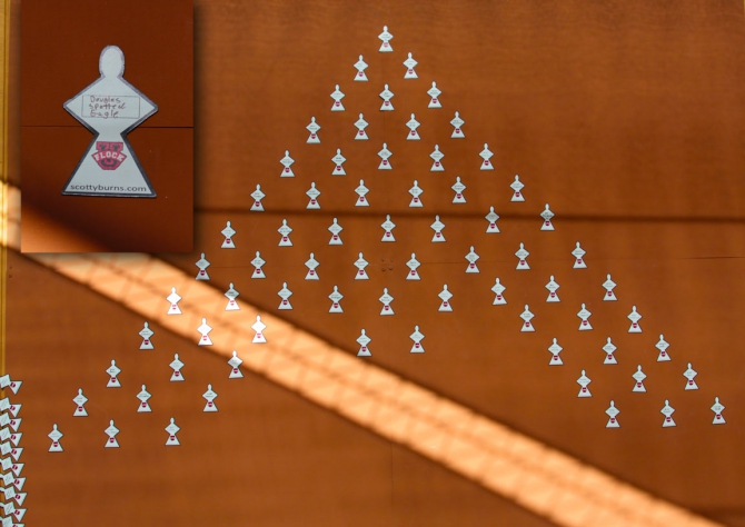 Самая большая Стая... (Воздух, wingsuit, world record)