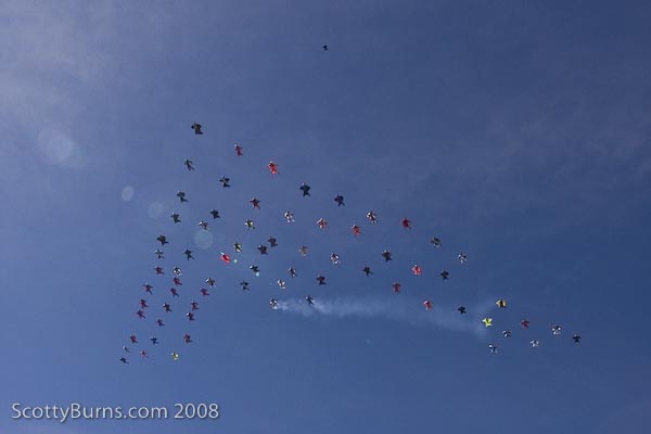 Самая большая Стая... (Воздух, wingsuit, world record)