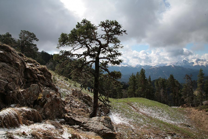 Майский Кавказ - очаровательный и гуманный. (Альпинизм, поход на май, майские праздники, тхач, агиге, псебай)
