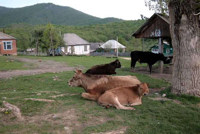 Майский Кавказ - очаровательный и гуманный. (Альпинизм, поход на май, майские праздники, тхач, агиге, псебай)