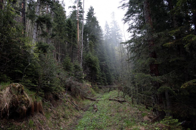 Майский Кавказ - очаровательный и гуманный. (Альпинизм, поход на май, майские праздники, тхач, агиге, псебай)
