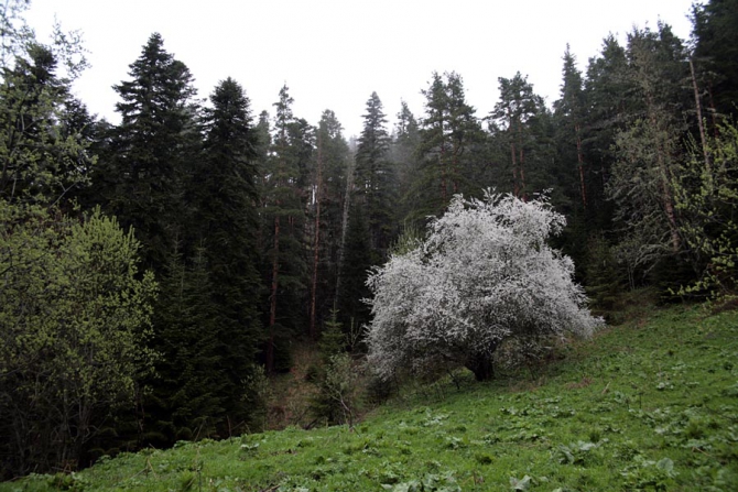 Майский Кавказ - очаровательный и гуманный. (Альпинизм, поход на май, майские праздники, тхач, агиге, псебай)
