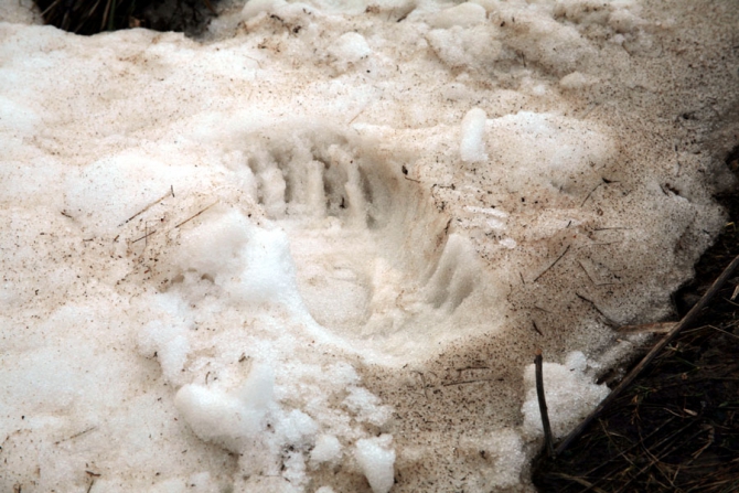 Майский Кавказ - очаровательный и гуманный. (Альпинизм, поход на май, майские праздники, тхач, агиге, псебай)