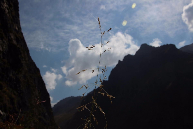 Туюксу, сентябрь, утм или #ходитевгоры! (Альпинизм, томск, тфа, Tomskclimb, темерев, копытов, скальный класс, йошкар-ола, дуров, Проверка силы)