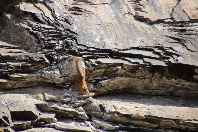 Туюксу, сентябрь, утм или #ходитевгоры! (Альпинизм, томск, тфа, Tomskclimb, темерев, копытов, скальный класс, йошкар-ола, дуров, Проверка силы)