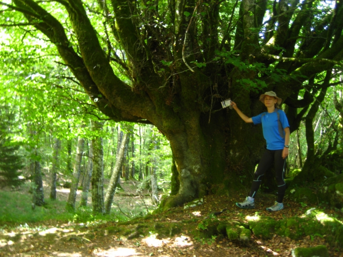 Впечатления о чемпионате Европы по рогейну в Испании. (Мультигонки)