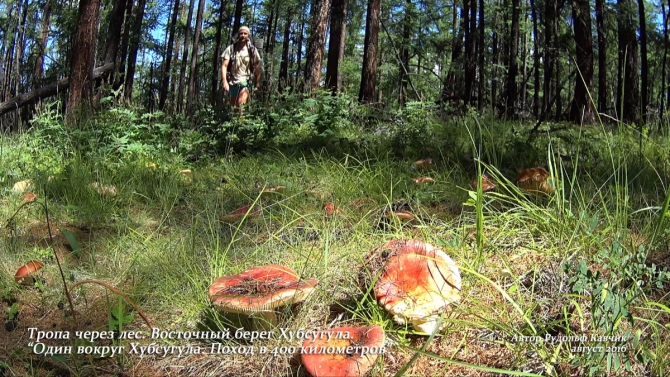 Часть 2. Разгадка тайны затонувшей колонны бронетехники. Через дебри дикого леса. Пешком вокруг Хубсугула. Поход в 400 километров. (Путешествия, монголия, Рудольф Кавчик, вокруг Хубсугула пешком)
