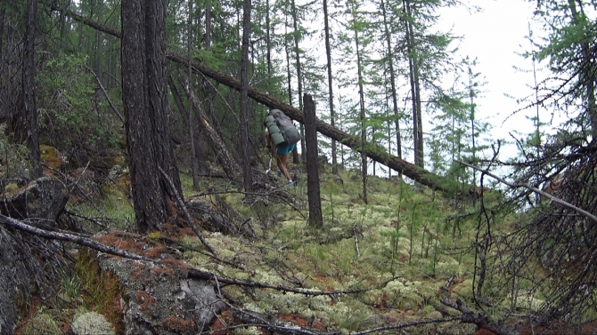 Часть 2. Разгадка тайны затонувшей колонны бронетехники. Через дебри дикого леса. Пешком вокруг Хубсугула. Поход в 400 километров. (Путешествия, монголия, Рудольф Кавчик, вокруг Хубсугула пешком)