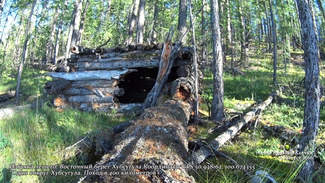 Часть 2. Разгадка тайны затонувшей колонны бронетехники. Через дебри дикого леса. Пешком вокруг Хубсугула. Поход в 400 километров. (Путешествия, монголия, Рудольф Кавчик, вокруг Хубсугула пешком)
