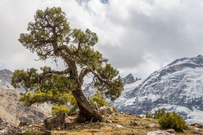 Фоторассказ о путешествии по Фанским горам (Горный туризм, фанские горы, турклуб маи, гиссарский хребет, чимтарга, энергия, москва, Большая Ганза, Мария, Ходжалокан, алаудин)