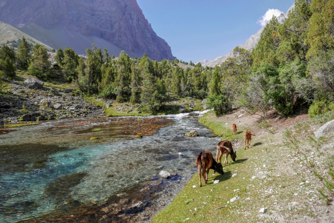 Фоторассказ о путешествии по Фанским горам (Горный туризм, фанские горы, турклуб маи, гиссарский хребет, чимтарга, энергия, москва, Большая Ганза, Мария, Ходжалокан, алаудин)