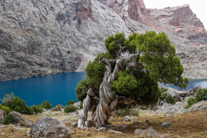 Фоторассказ о путешествии по Фанским горам (Горный туризм, фанские горы, турклуб маи, гиссарский хребет, чимтарга, энергия, москва, Большая Ганза, Мария, Ходжалокан, алаудин)