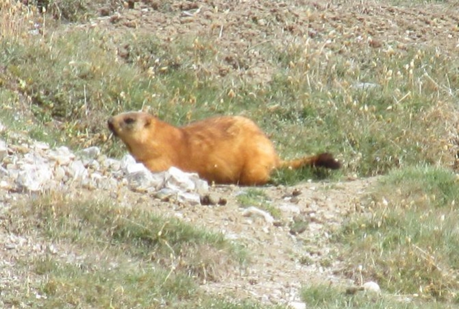 О пользе пения под гитару для акклиматизации в горах (Альпинизм, пик ленина)