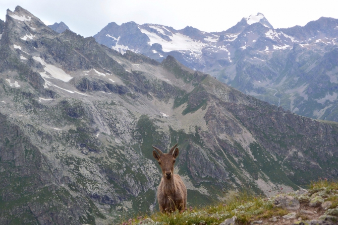Узункол 2016. Сборы Федерации альпинизма Краснодарского края и альпклуба "Штурм". (факк, кирпич)
