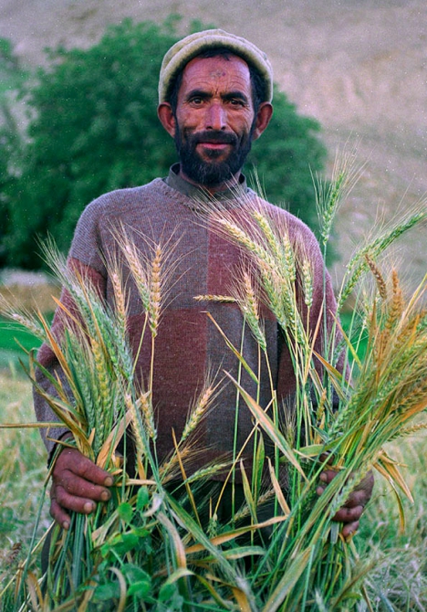 Snow Lake. Продолжение. (Путешествия, пакистан, каракорум, хиспар)
