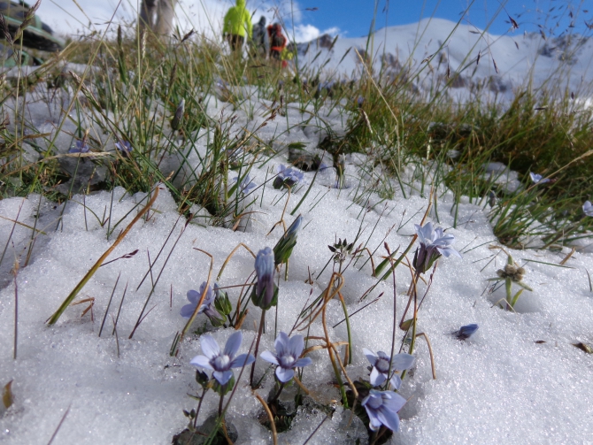 Экспедиция на пик Ленина с Уральским Высокогорным Клубом (Альпинизм)